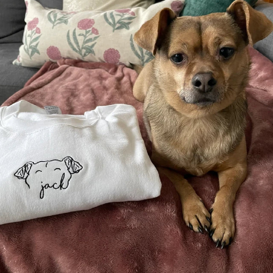 How to Choose the Best Photo for a Custom Pet Portrait