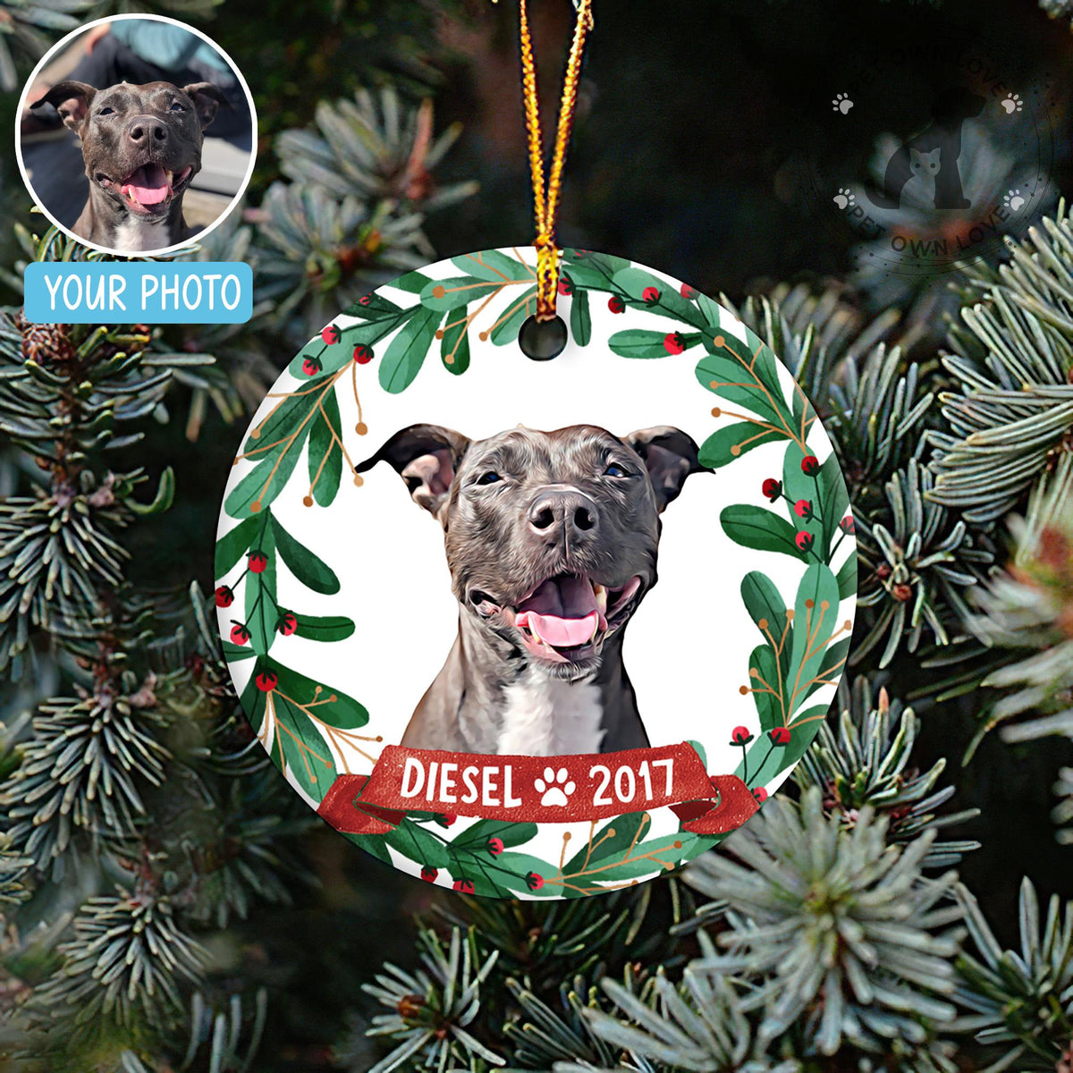 Custom dog ornament hanging on a Christmas tree with photo example and name Diesel