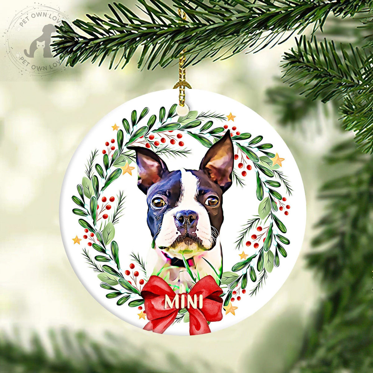 Personalized Boston Terrier ornament hanging from a tree branch in a leafy berry wreath with a red bow
